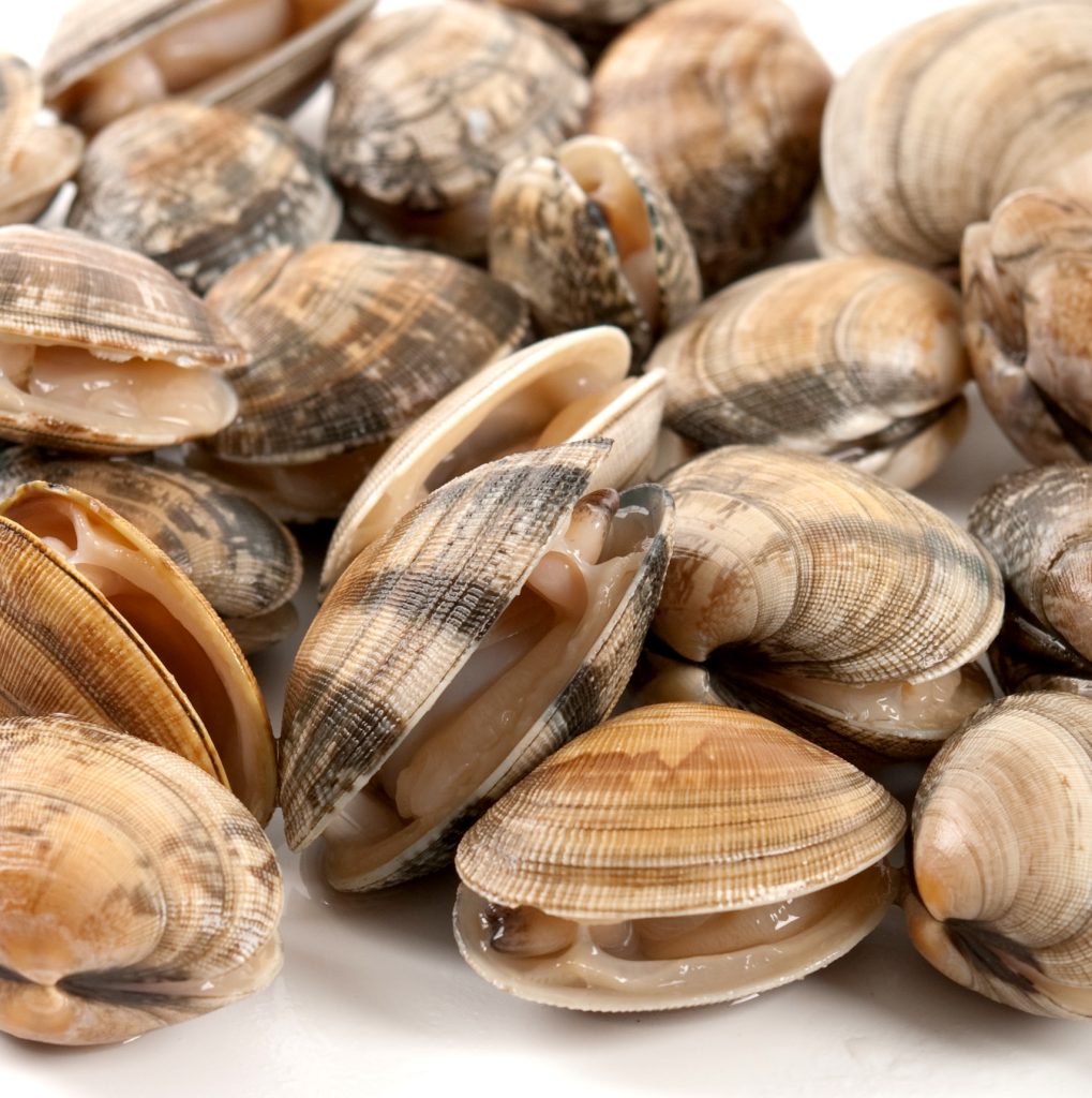 Frigorificos Unidos S.A