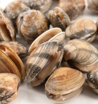 Frigorificos Unidos S.A